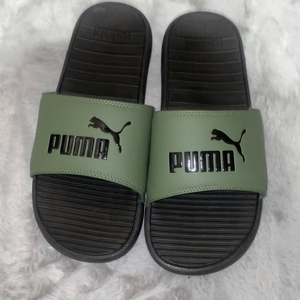 Pumas slides